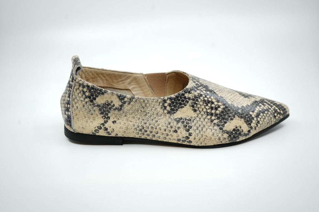 Zapatos 03