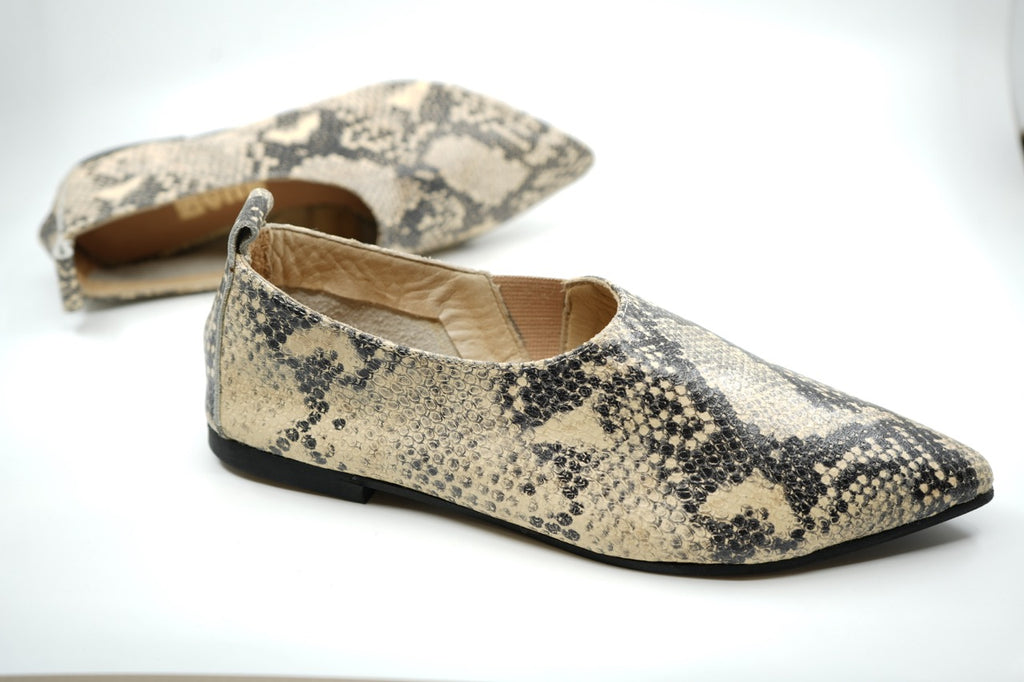 Zapatos 03