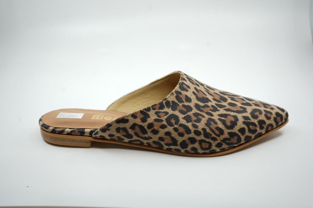 Zapatos 05