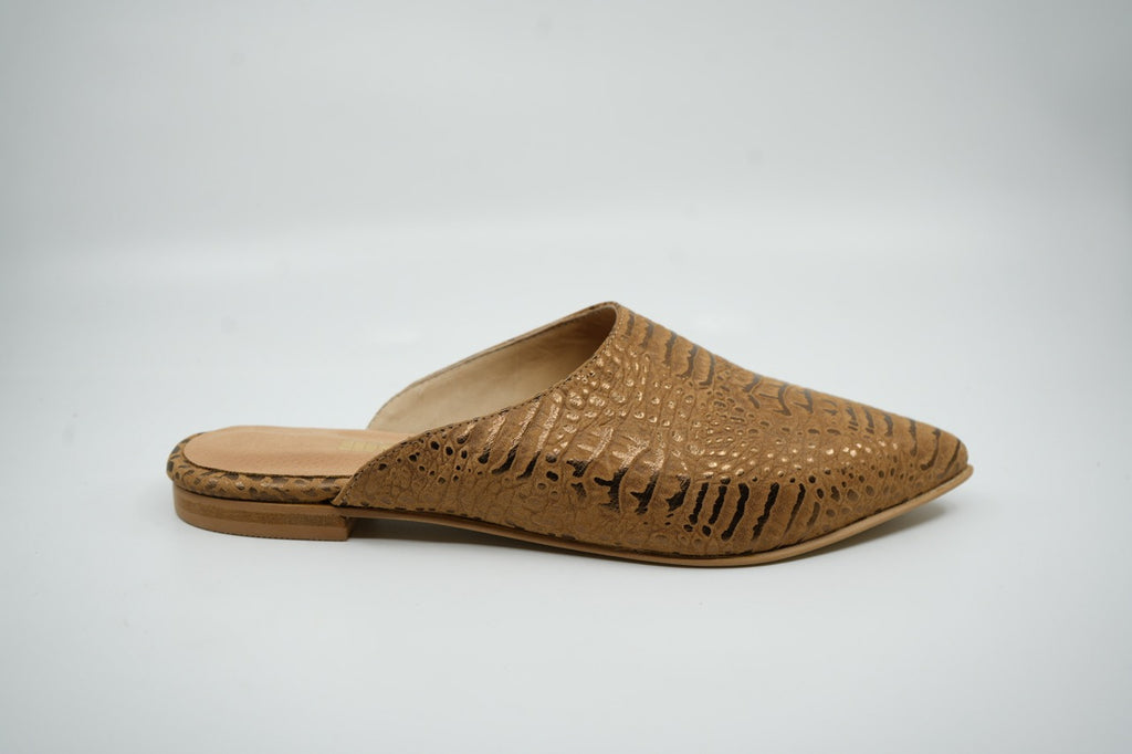 Zapatos 06